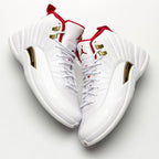Jordan 12 Retro FI’BAs